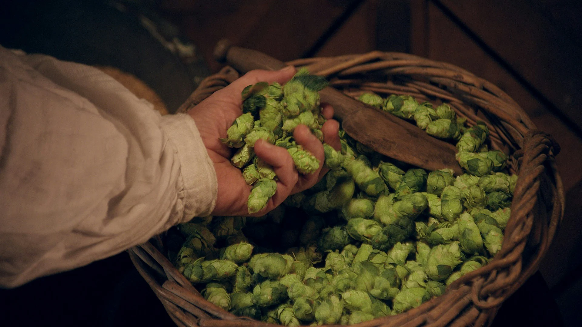 Grolsch — The Story of Peter Kuijper — color grading by Jason Bowdach