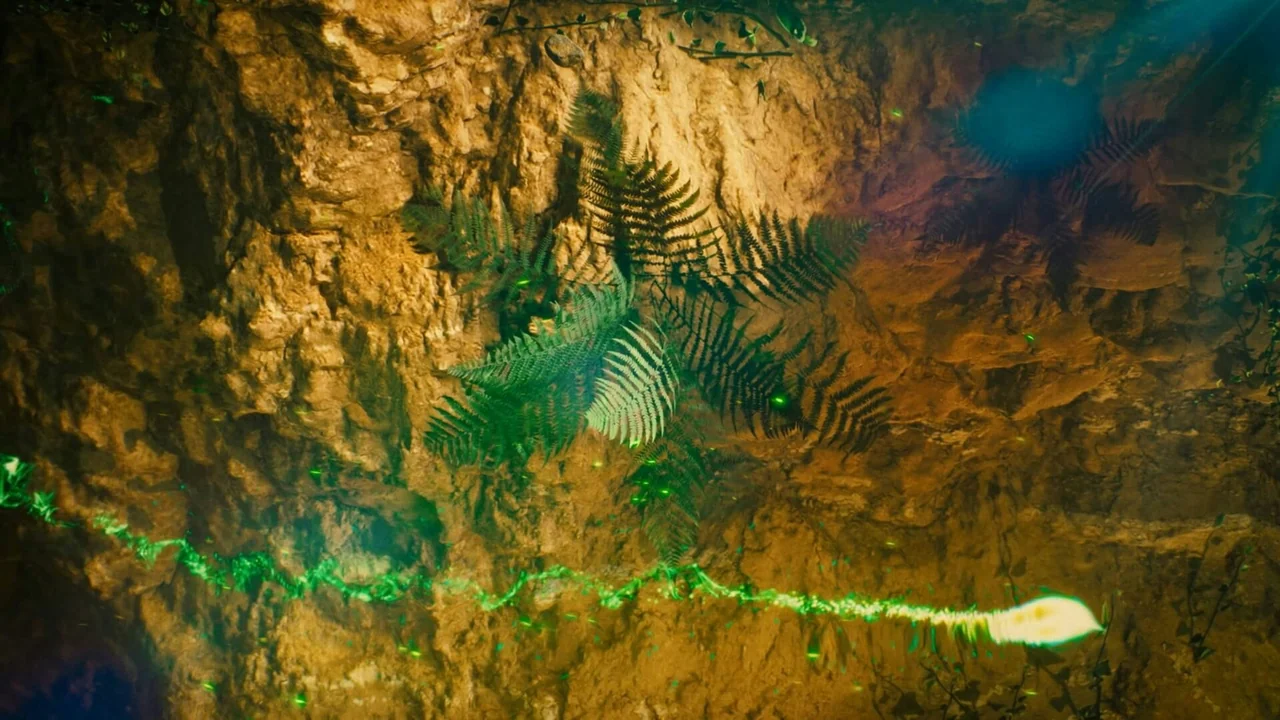 Graded frame — vivid green foliage against warm rock in low light